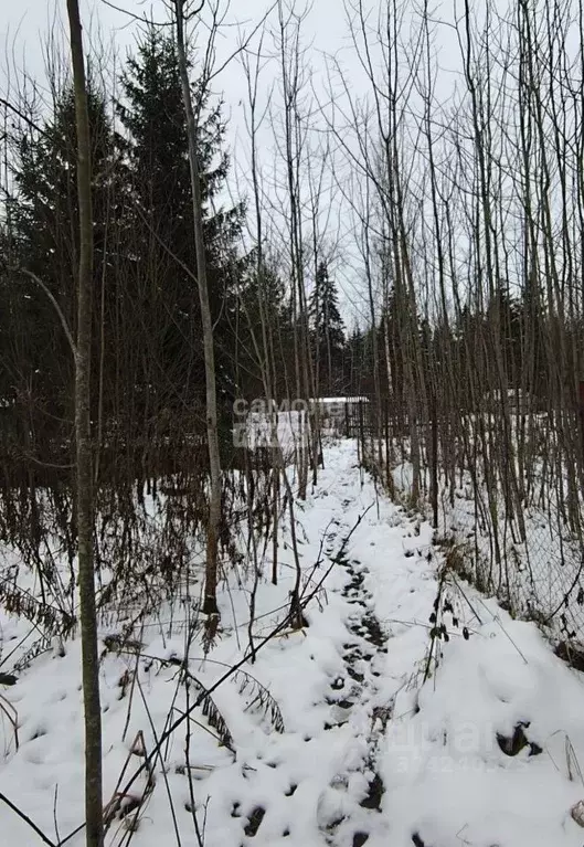 Участок в Ленинградская область, Тосненское городское поселение, Рубеж ... - Фото 2