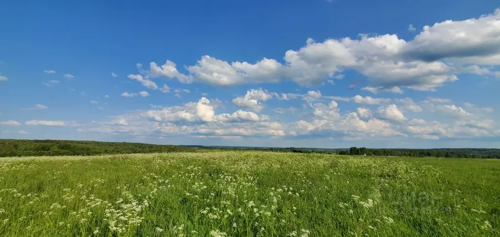 Участок в Башкортостан, Нуримановский район, Баш-Шидинский сельсовет  ... - Фото 1