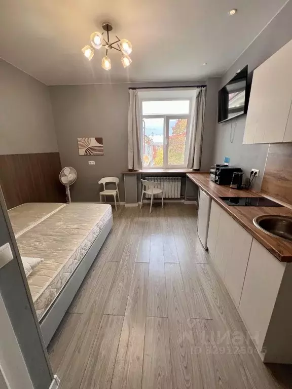 Студия Москва пер. Токмаков, 16С2 (18.3 м) - Фото 2