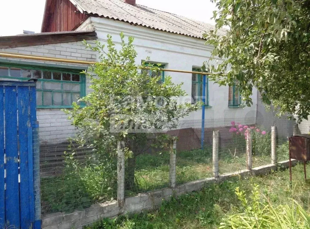 Дом в Курская область, Солнцево рп ул. Веселая (57 м) - Фото 0