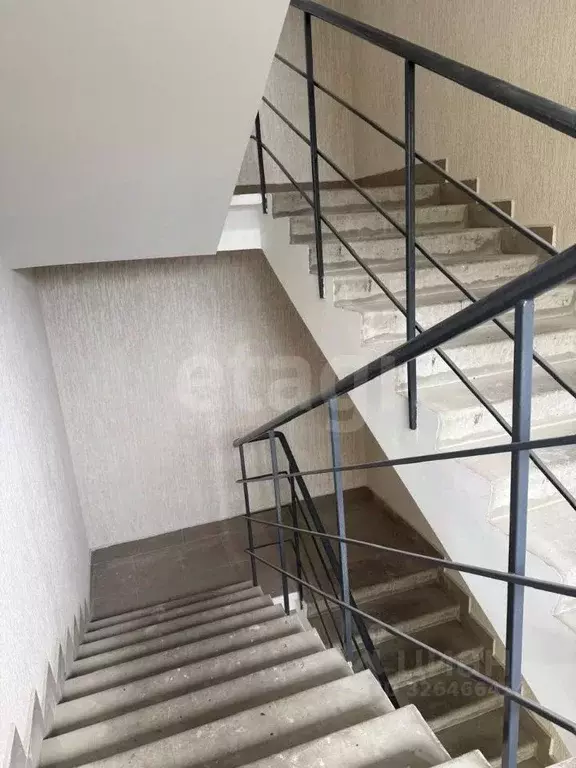 Студия Алтай, Горно-Алтайск ул. Осипенко (33.0 м) - Фото 2