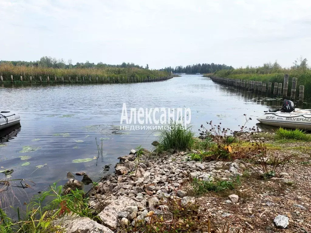 Участок в Ленинградская область, Приозерский район, Ларионовское ... - Фото 0