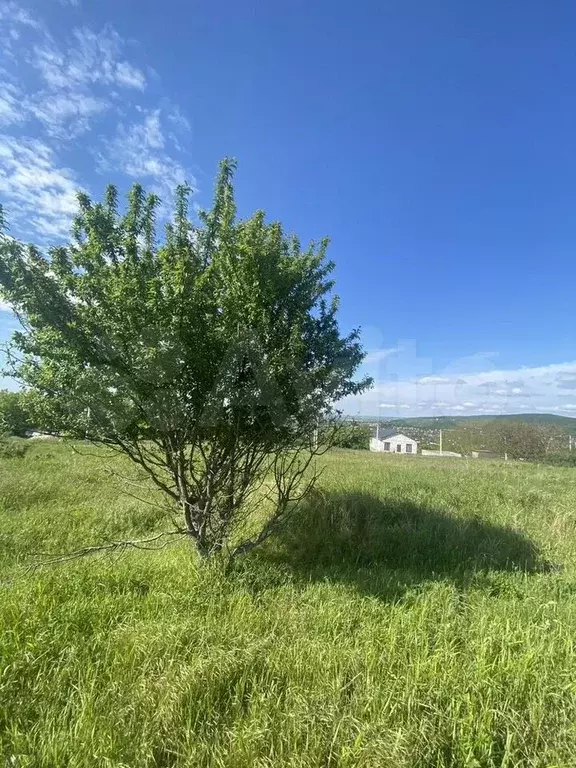 Участок 5,1 сот. (СНТ, ДНП) - Фото 1