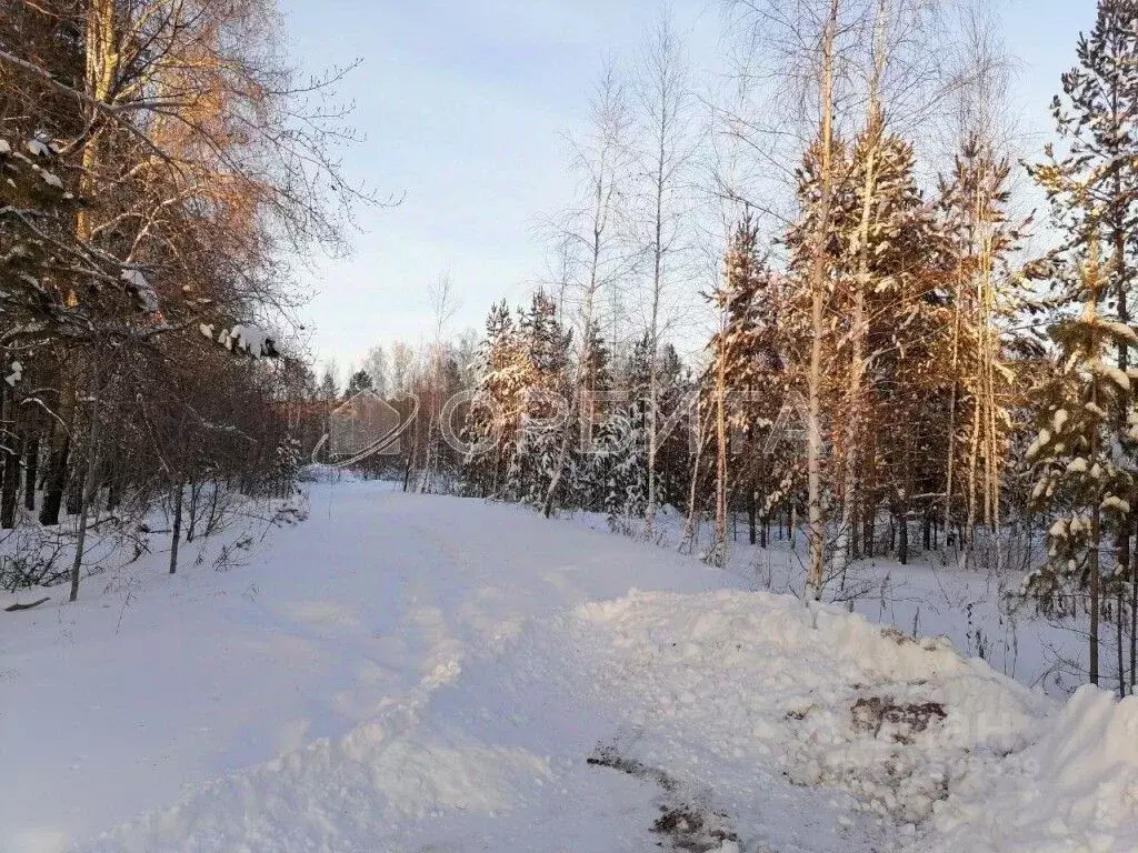 Участок в Тюменская область, Тюменский район, д. Речкина  (10.0 сот.) - Фото 0