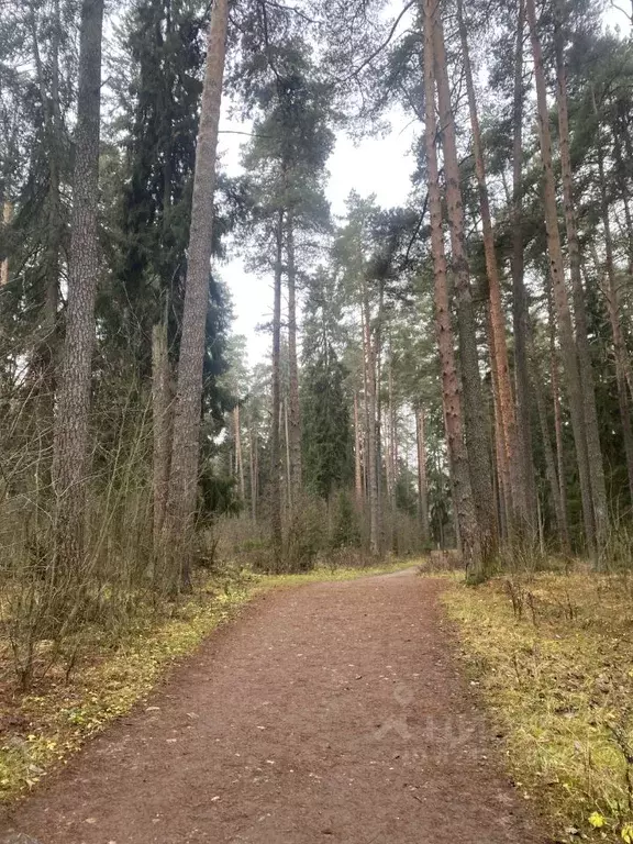 2-к кв. Тверская область, Конаково ул. Гагарина, 7 (45.0 м) - Фото 1