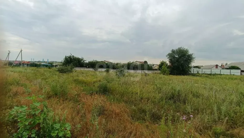 Участок в Белгородская область, Алексеевка ул. Каштановая (10.25 сот.) - Фото 1