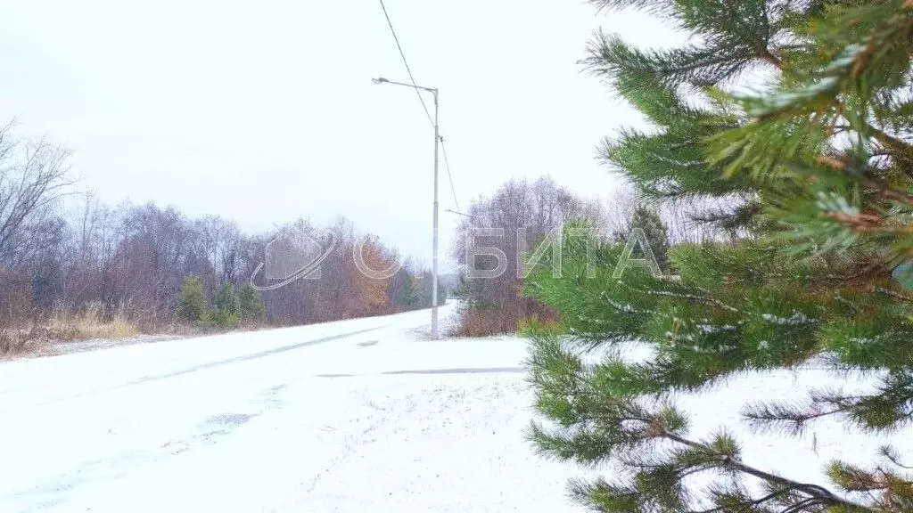Участок в Тюменская область, Тюменский муниципальный округ, с. ... - Фото 1