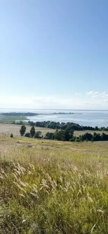 Участок в Татарстан, Тукаевский район, Биюрганское с/пос, д. Кулушево  ... - Фото 2