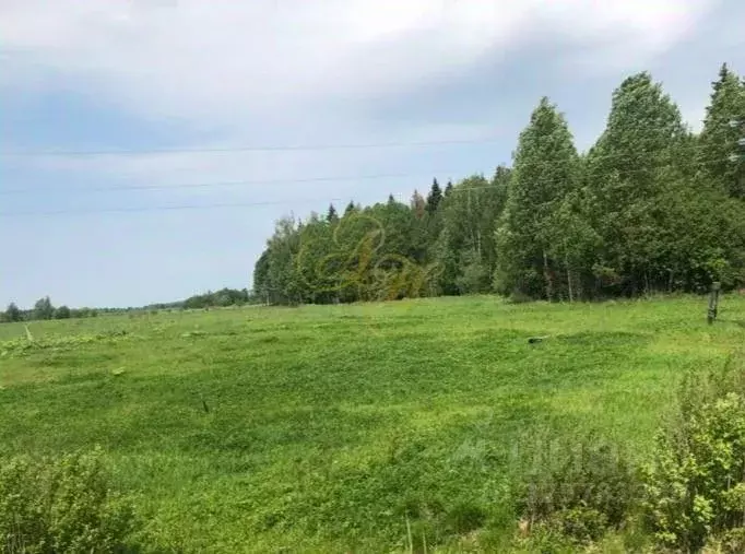 Участок в Московская область, Клин городской округ, д. Давыдково, ... - Фото 2