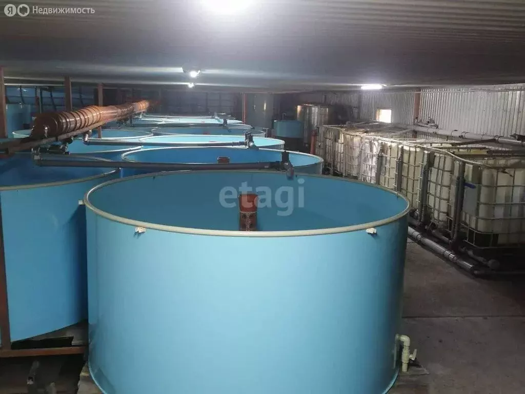 Помещение свободного назначения (481.9 м) - Фото 2