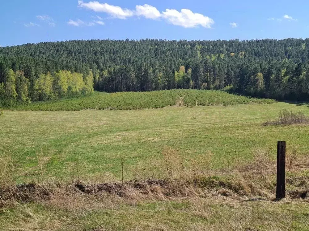 Участок в Иркутская область, Шелеховский район, Баклашинское ... - Фото 1