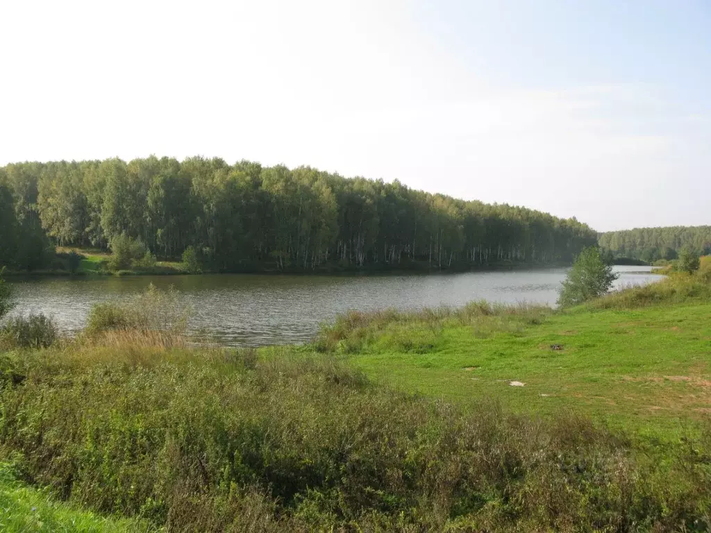 Участок в Нижегородская область, Богородский муниципальный округ, д. ... - Фото 0