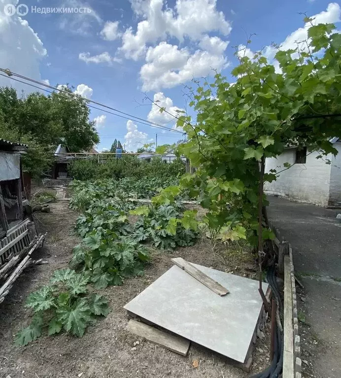 Дом в Сальск, улица Никитина (100 м) - Фото 1