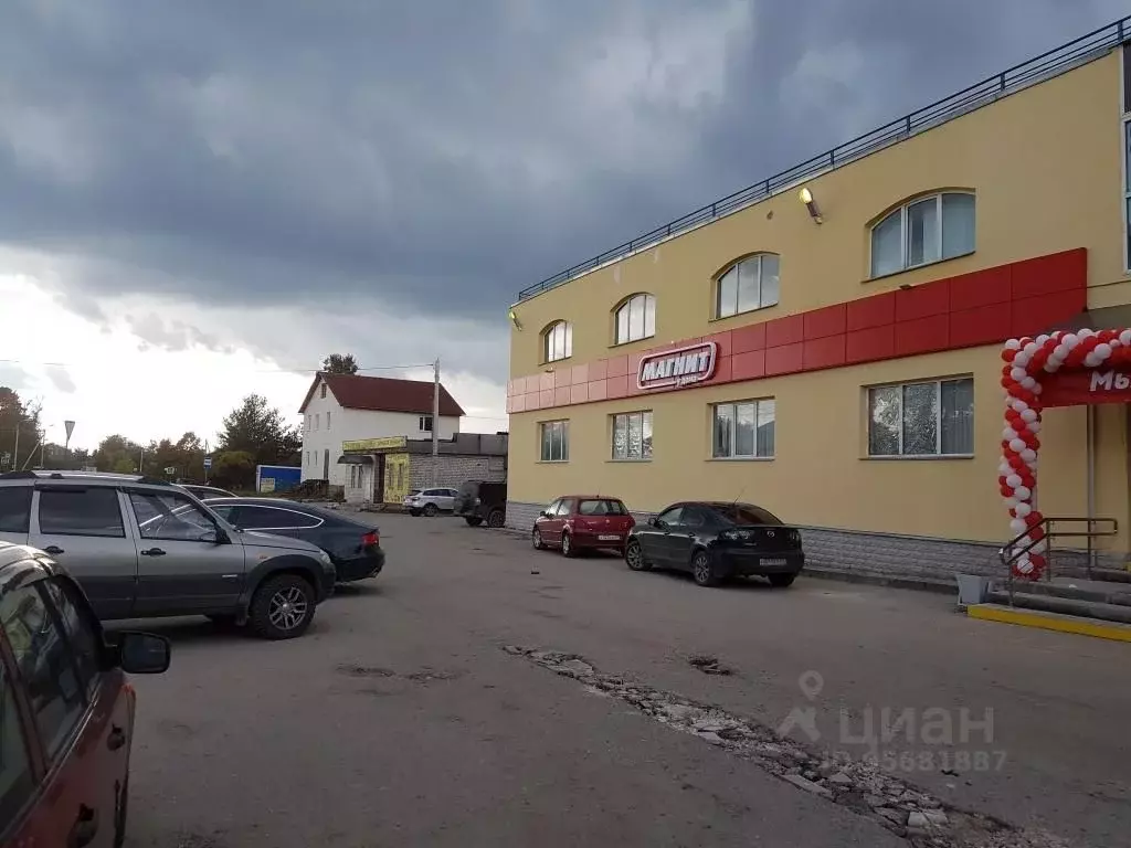 Производственное помещение в Псковская область, Псков ул. Николая . - Фото 1