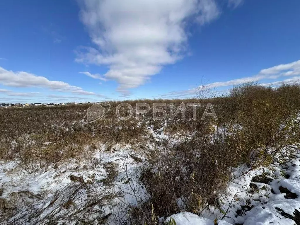 Участок в Тюменская область, Тюменский район, с. Чикча  (9.4 сот.) - Фото 2