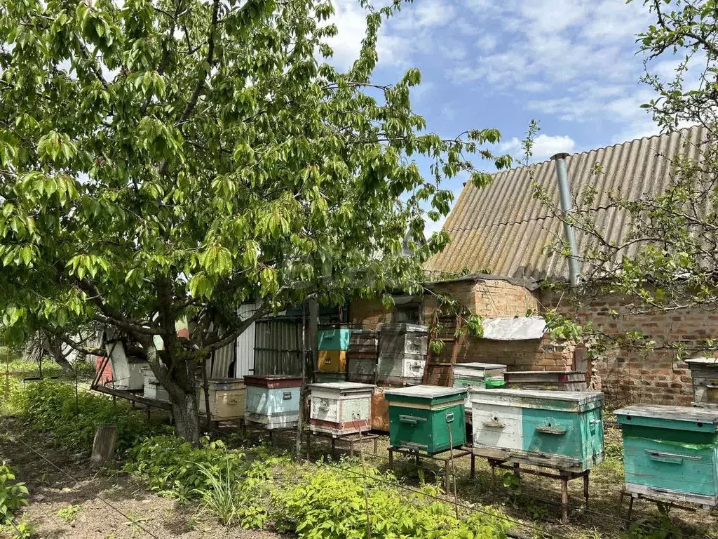 Дом в Ростовская область, Неклиновский район, Носовское с/пос, ... - Фото 0