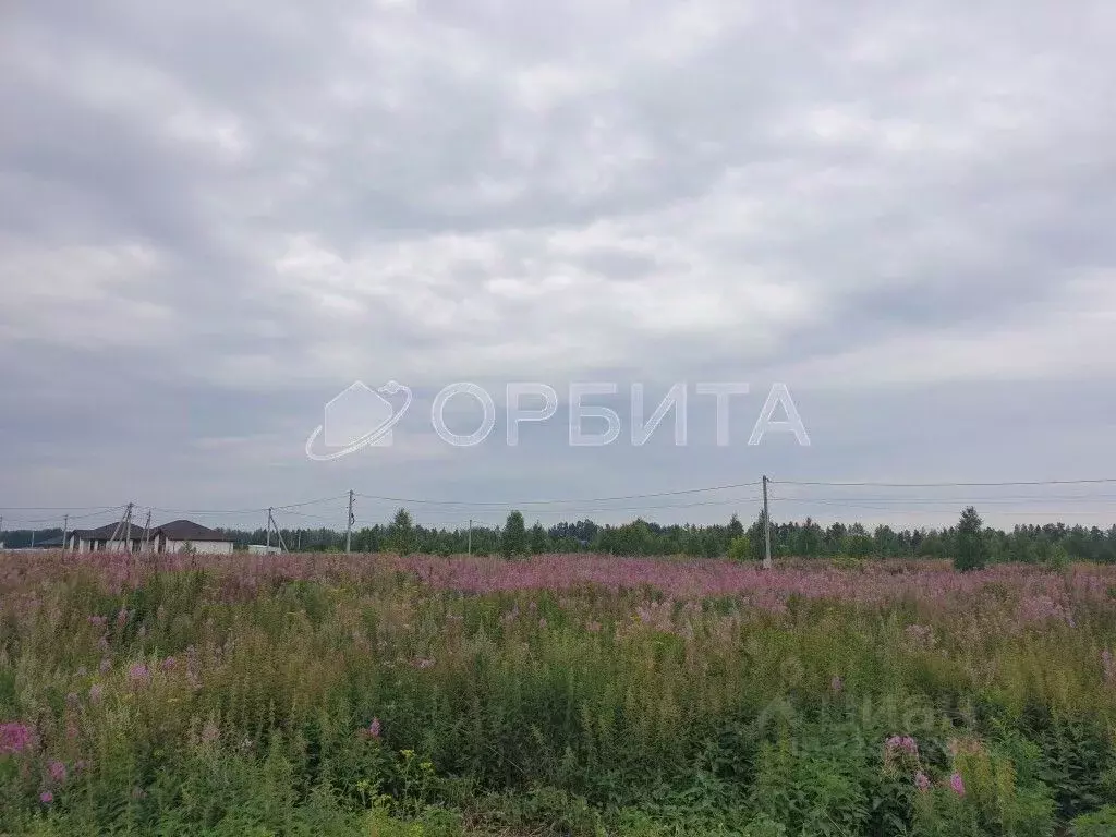 Участок в Тюменская область, Тюменский муниципальный округ, с. ... - Фото 2