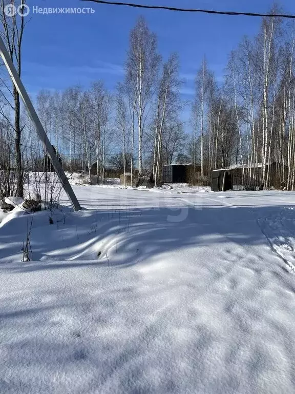 Участок в Пениковское сельское поселение, деревня Таменгонт, Лосиный ... - Фото 1