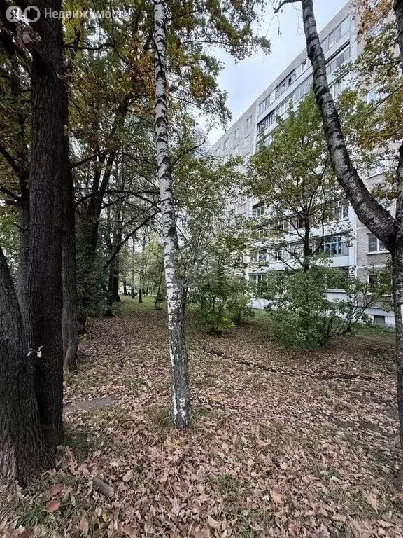 3-комнатная квартира: Ярославль, проспект Фрунзе, 55/33 (60.2 м) - Фото 1