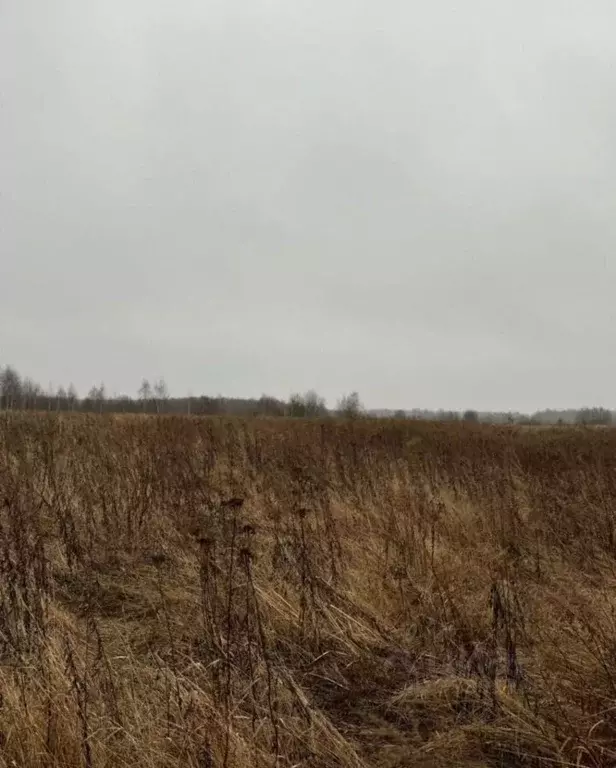 Участок в Московская область, Павлово-Посадский городской округ, д. ... - Фото 0