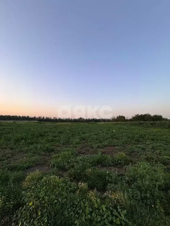 Участок, 30 сот., 0 - Фото 0