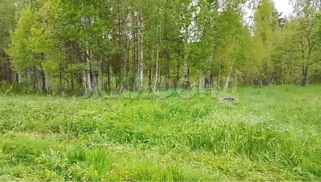 Участок в Томская область, Томский район, д. Кисловка, Урожай СТ  (6.0 ... - Фото 0