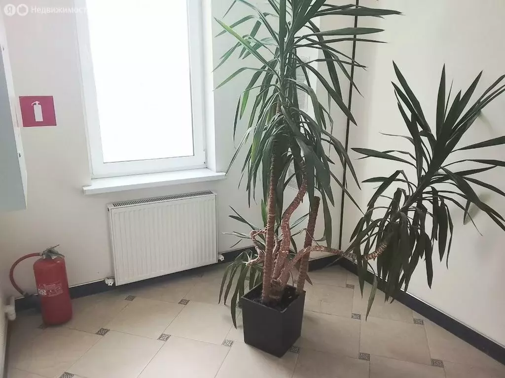 Помещение свободного назначения (500 м) - Фото 1