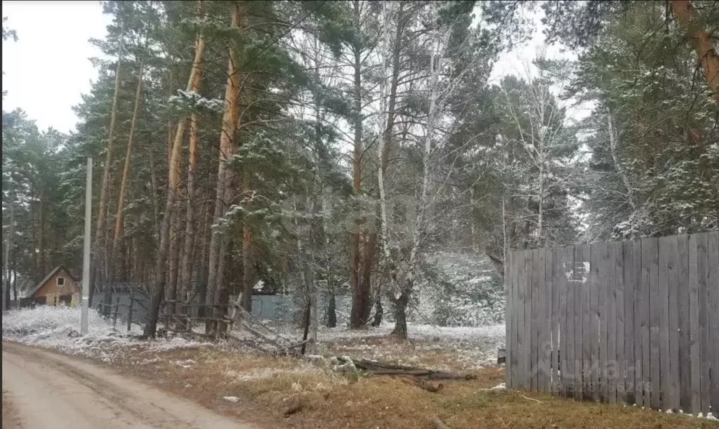 Участок в Курганская область, Кетовский муниципальный округ, д. ... - Фото 1