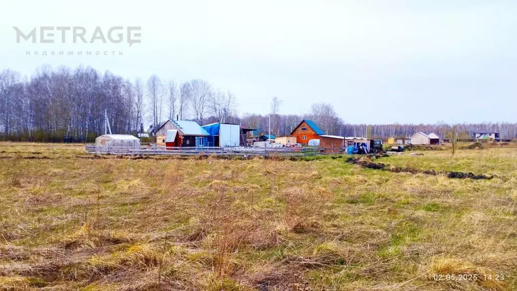 Участок в Новосибирская область, Мошково рп ул. Трудовая, 106 (7.0 ... - Фото 0