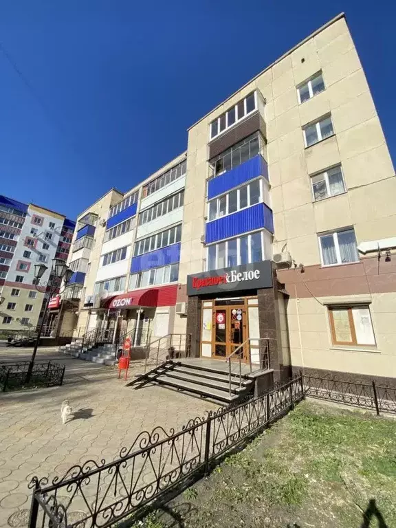 Помещение свободного назначения в Башкортостан, Стерлитамак ул. ... - Фото 1