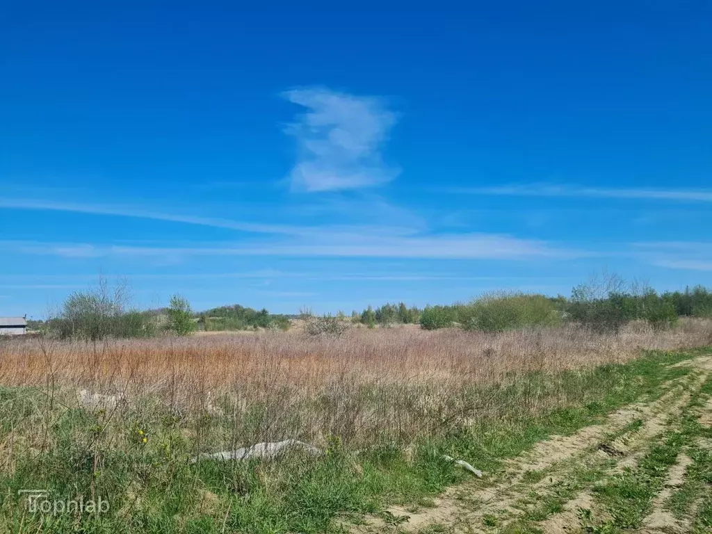 Участок в Калининградская область, Янтарный пгт, Садовник СНТ  (8.0 ... - Фото 2