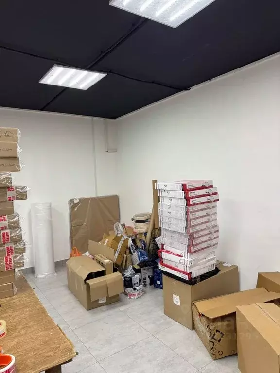 Помещение свободного назначения в Пензенская область, Пензенский ... - Фото 1