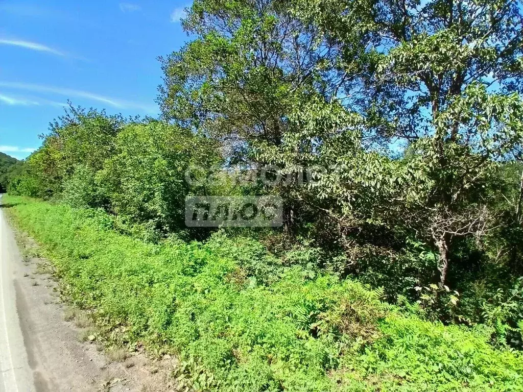 Участок в Приморский край, Дунай пгт ул. Почтовая, 4 (18.84 сот.) - Фото 2