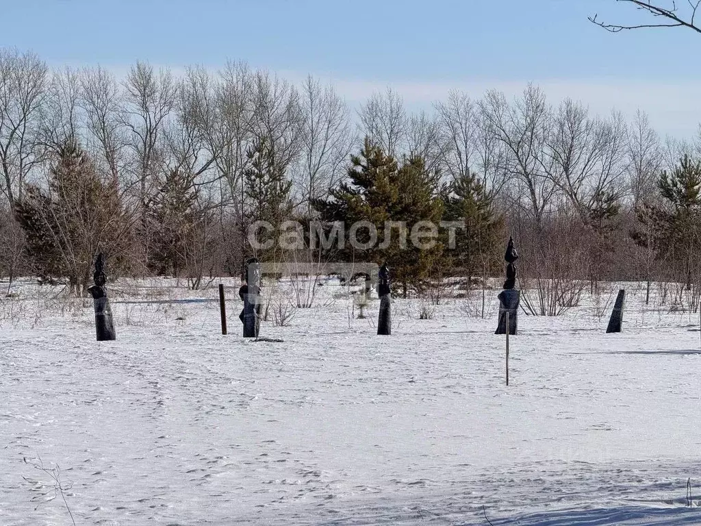 Участок в Алтайский край, Барнаул городской округ, пос. Бельмесево ул. ... - Фото 1