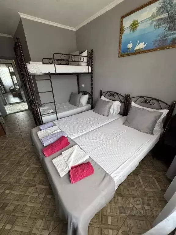 Комната Краснодарский край, Сочи ул. Православная, 44Б - Фото 0
