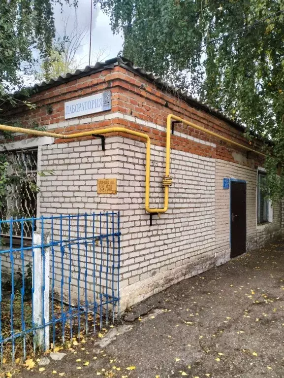 Помещение свободного назначения в Чувашия, с. Яльчики ул. Новая, 1 ... - Фото 1