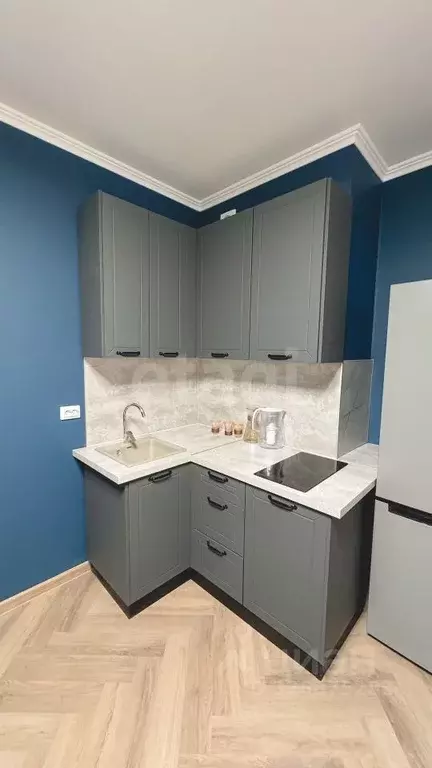 Студия Санкт-Петербург ул. Русановская, 24 (25.0 м) - Фото 1