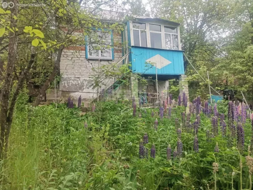 Дом в Беломестненское сельское поселение, СНТ Витаминщик (20 м) - Фото 1