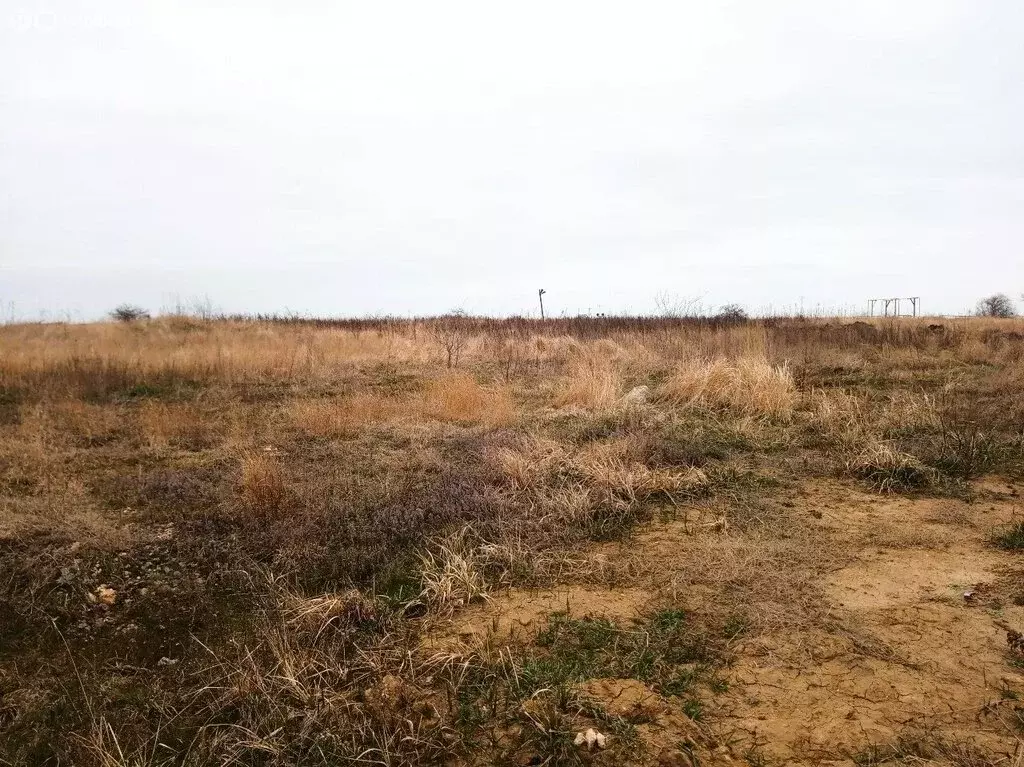 Участок в Темрюк, Аллейная улица (7.5 м) - Фото 1