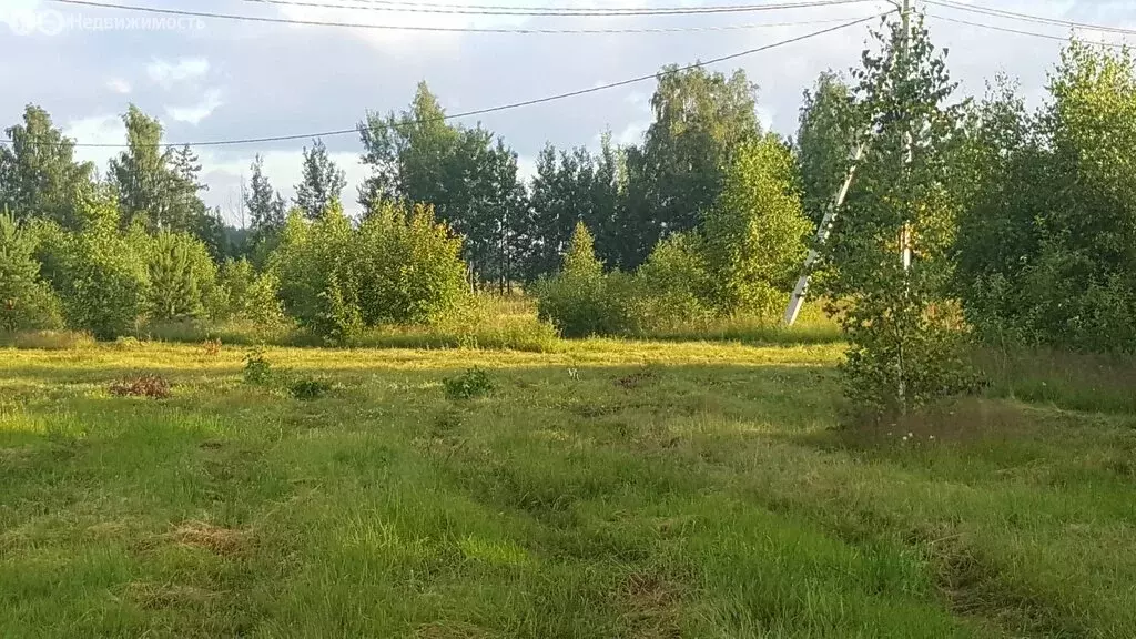 Участок в Ярославская область, Мышкинский муниципальный округ, село ... - Фото 0