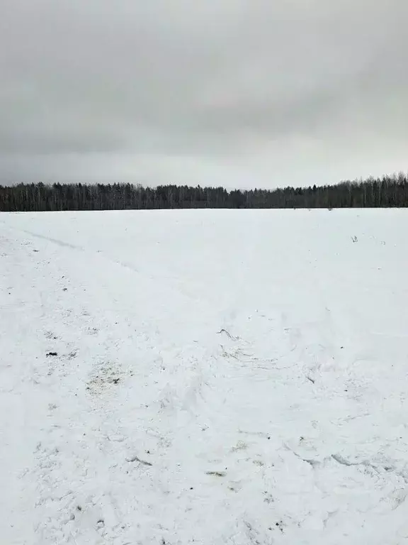 Участок в Ленинградская область, Тосненское городское поселение, д. ... - Фото 1