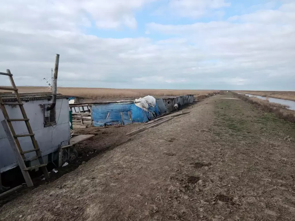 Участок в Краснодарский край, Темрюк  (46.0 сот.) - Фото 2