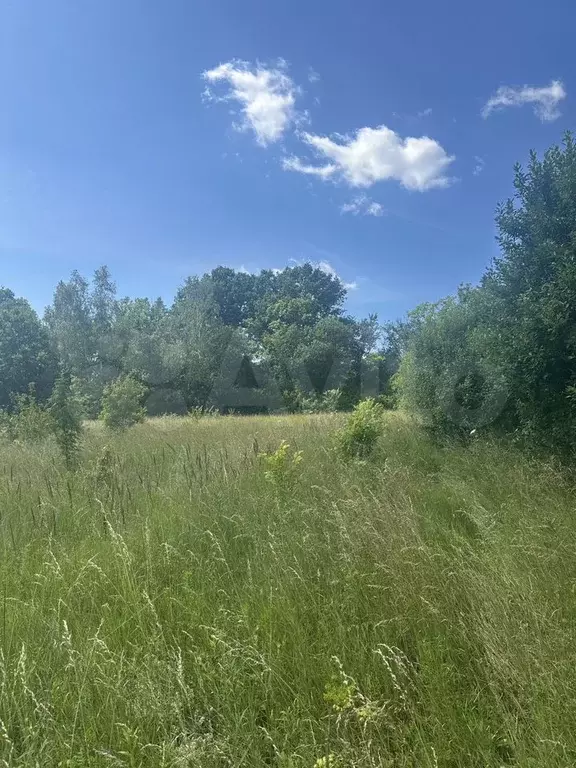 Участок 19 сот. (личное подсобное хозяйство (лпх)) - Фото 0
