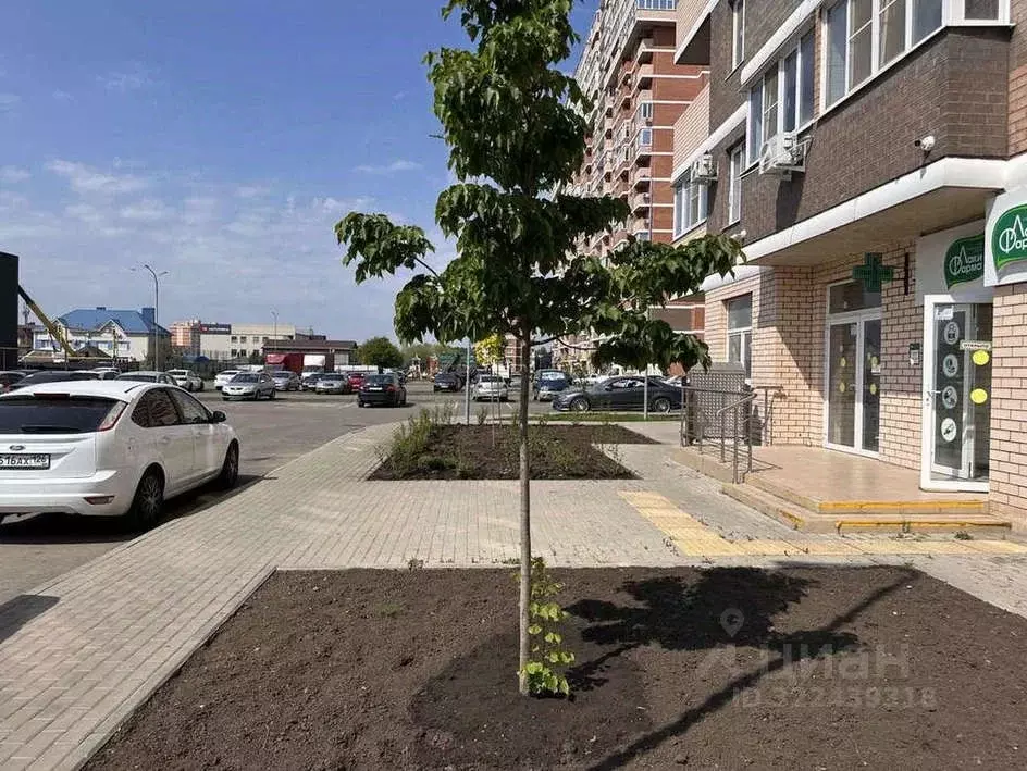 Помещение свободного назначения в Краснодарский край, Краснодар ... - Фото 1