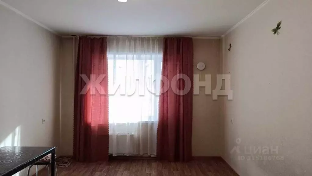 Студия Новосибирская область, Новосибирск Петропавловская ул., 2 (27.5 ... - Фото 0