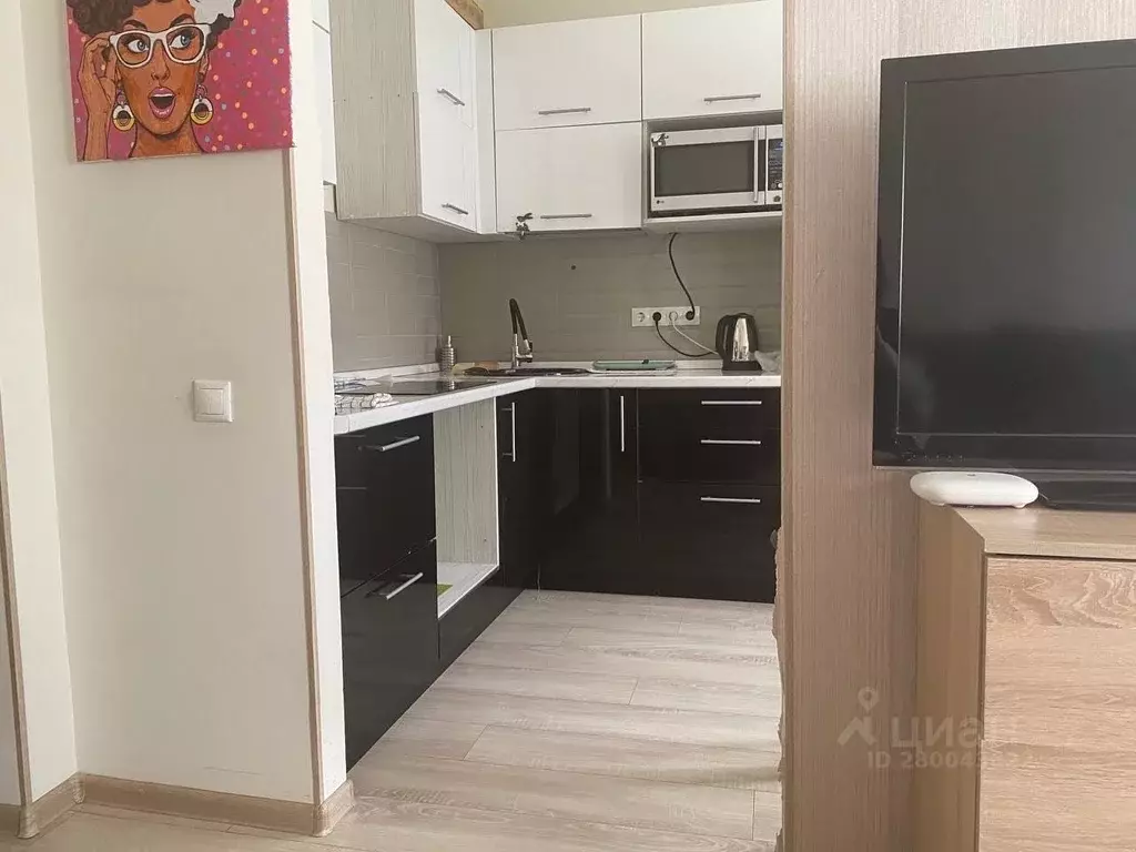 Студия Белгородская область, Белгород ул. Каштановая, 12 (28.0 м) - Фото 2