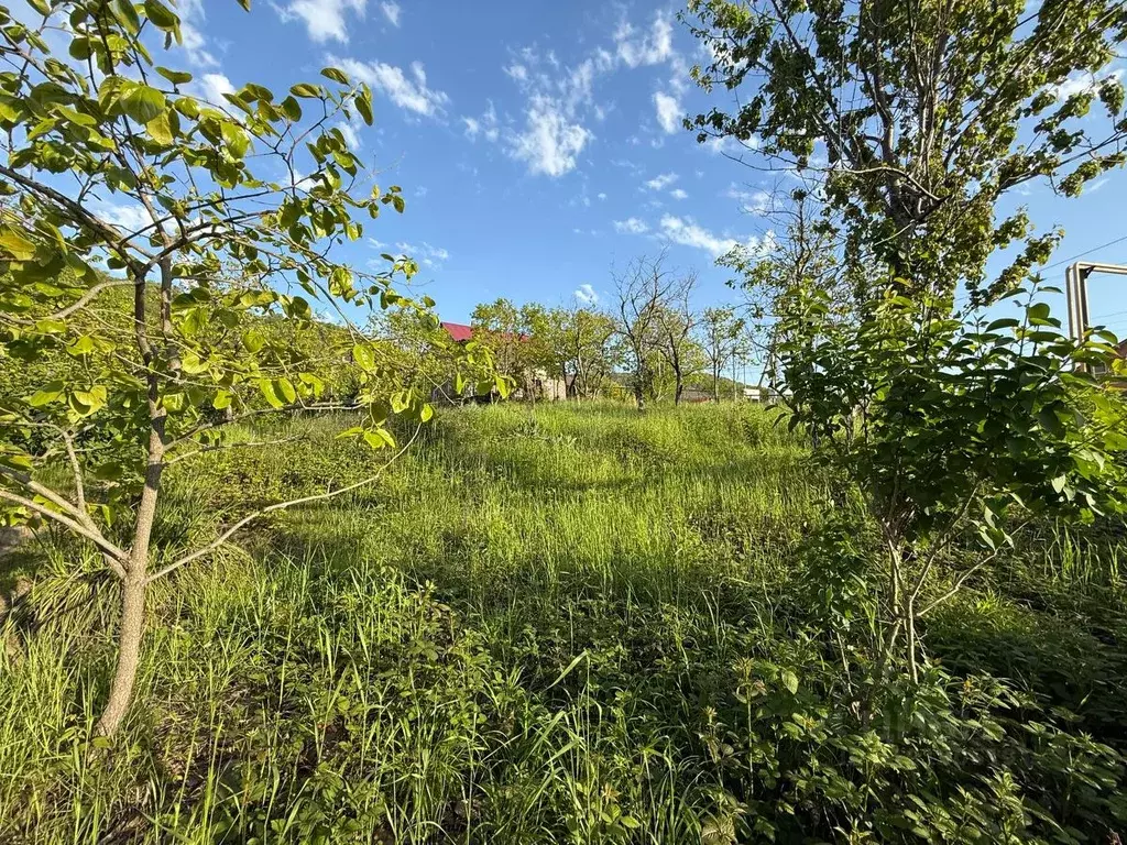 Участок в Краснодарский край, Сочи городской округ, с. Черешня  (25.0 ... - Фото 0