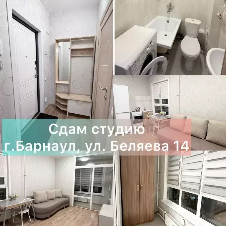 Студия Алтайский край, Барнаул ул. Беляева, 14 (22.0 м) - Фото 1