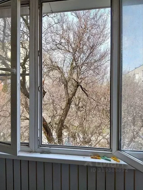 1-к кв. Ростовская область, Ростов-на-Дону Таганрогская ул., 143/1 ... - Фото 1