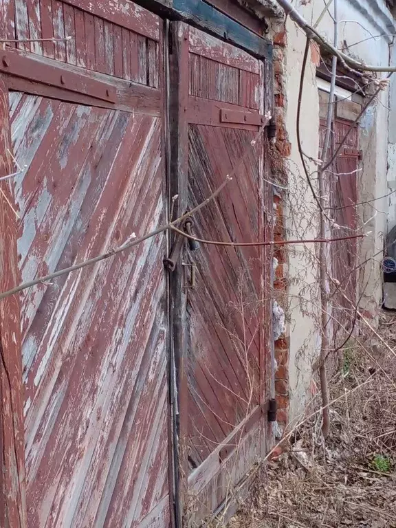 Помещение свободного назначения в Чувашия, Козловка ул. Свободной ... - Фото 1